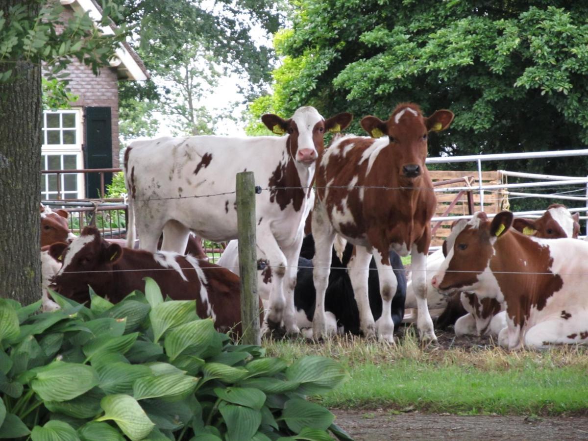 Boerderij De Aarnink Apartment Heeten Bagian luar foto
