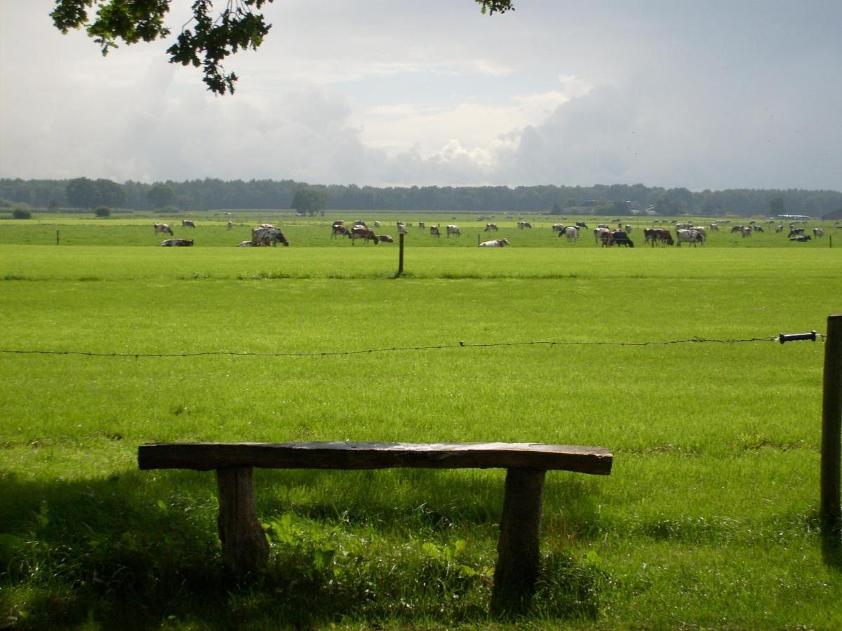 Boerderij De Aarnink Apartment Heeten Bagian luar foto