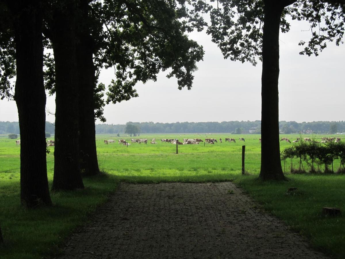 Boerderij De Aarnink Apartment Heeten Bagian luar foto